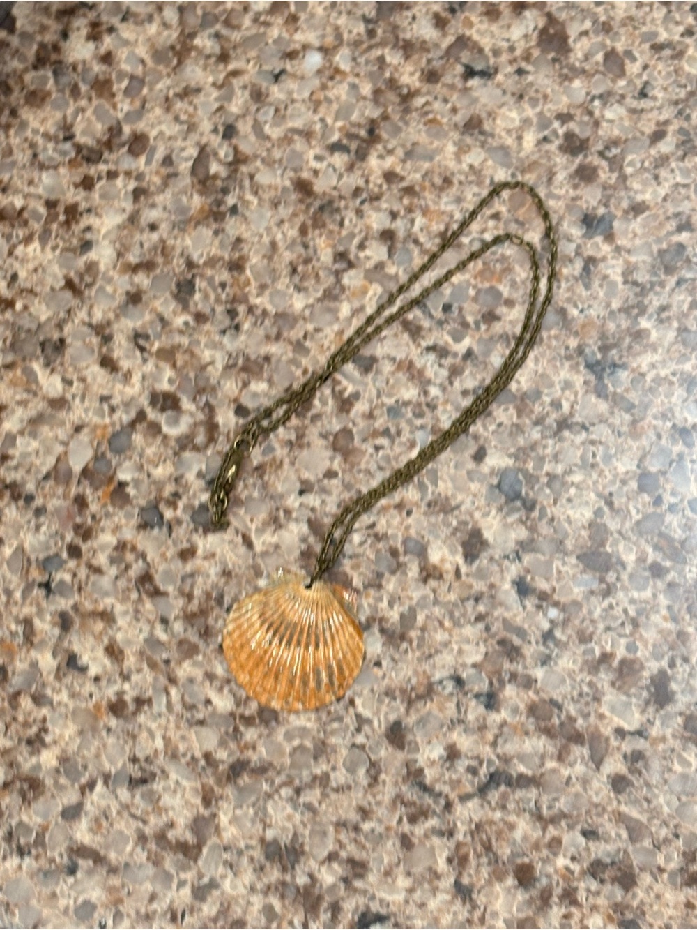 Shell necklace - Picture 5 of 6
